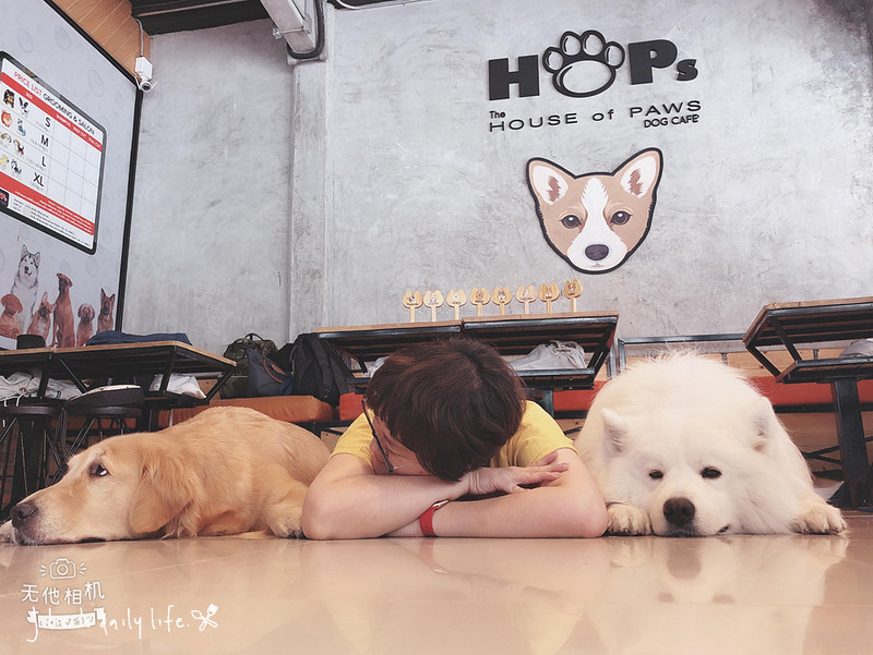 泰國曼谷●Siam Square 狗狗咖啡廳HoPs Dog Cafe-交通方便