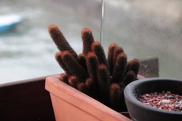 600D,BAR,By,Cafe,倫敦,北部,國內旅遊,土耳其,大阪,天使熱愛的生活,宜蘭,害羞的夕陽,居酒屋,捷克,旅遊,早午餐,板橋,河堤雜拍,法國,淡水 天使熱愛的生活,淡水半日遊,美食,自由行 @跟著Julie一起走吧 600D,BAR,By,Cafe,倫敦,北部,國內旅遊,土耳其,大阪,天使熱愛的生活,宜蘭,害羞的夕陽,居酒屋,捷克,旅遊,早午餐,板橋,河堤雜拍,法國,淡水 天使熱愛的生活,淡水半日遊,美食,自由行 @跟著Julie一起走吧