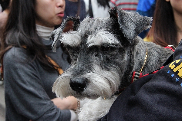 10元肉包,600D,By,倫敦,北部,吃吃喝喝踩街散步,國內旅遊,土耳其,大阪,宜蘭,居酒屋,捷克,旅遊,早午餐,板橋,法國,淡水半日遊,現烤魷魚,美食,自由行,阿媽的酸梅湯,香香臭豆腐 @跟著Julie一起走吧 10元肉包,600D,By,倫敦,北部,吃吃喝喝踩街散步,國內旅遊,土耳其,大阪,宜蘭,居酒屋,捷克,旅遊,早午餐,板橋,法國,淡水半日遊,現烤魷魚,美食,自由行,阿媽的酸梅湯,香香臭豆腐 @跟著Julie一起走吧