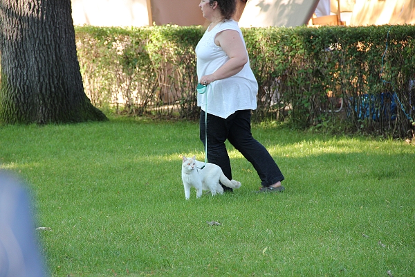 2011,2011捷克,7.8,CESKY,KURMLOV,倫敦,國外旅遊,土耳其,大阪,宜蘭,居酒屋,捷克,旅遊,早午餐,板橋,法國,美食,自由行,超美的克魯姆諾夫part3 @跟著Julie一起走吧 2011,2011捷克,7.8,CESKY,KURMLOV,倫敦,國外旅遊,土耳其,大阪,宜蘭,居酒屋,捷克,旅遊,早午餐,板橋,法國,美食,自由行,超美的克魯姆諾夫part3 @跟著Julie一起走吧