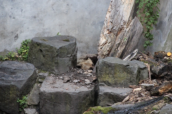 2011,2011捷克,7.8,CESKY,KURMLOV,倫敦,國外旅遊,土耳其,大阪,宜蘭,居酒屋,捷克,旅遊,早午餐,板橋,法國,美食,自由行,超美的克魯姆諾夫part2 @跟著Julie一起走吧 2011,2011捷克,7.8,CESKY,KURMLOV,倫敦,國外旅遊,土耳其,大阪,宜蘭,居酒屋,捷克,旅遊,早午餐,板橋,法國,美食,自由行,超美的克魯姆諾夫part2 @跟著Julie一起走吧