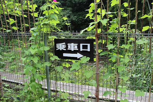 2011,7.27,倫敦,國外旅遊,土耳其,大阪,宜蘭,居酒屋,捷克,搭小火車,旅亭夏頌,旅遊,日本京阪神,早午餐,板橋,法國,神戶,竹林散策,美食,自由行,野宮神社 @跟著Julie一起走吧 2011,7.27,倫敦,國外旅遊,土耳其,大阪,宜蘭,居酒屋,捷克,搭小火車,旅亭夏頌,旅遊,日本京阪神,早午餐,板橋,法國,神戶,竹林散策,美食,自由行,野宮神社 @跟著Julie一起走吧