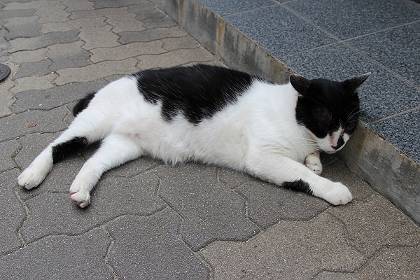 2011,7.26,倫敦,國外旅遊,土耳其,大阪,宜蘭,居酒屋,捷克,旅亭夏頌,旅遊,日本京阪神,早午餐,有馬散策,有馬溫泉,有馬溫泉 夏天,有馬溫泉 日本,有馬溫泉區散策,板橋,法國,神戶,美食,自由行 @跟著Julie一起走吧 2011,7.26,倫敦,國外旅遊,土耳其,大阪,宜蘭,居酒屋,捷克,旅亭夏頌,旅遊,日本京阪神,早午餐,有馬散策,有馬溫泉,有馬溫泉 夏天,有馬溫泉 日本,有馬溫泉區散策,板橋,法國,神戶,美食,自由行 @跟著Julie一起走吧