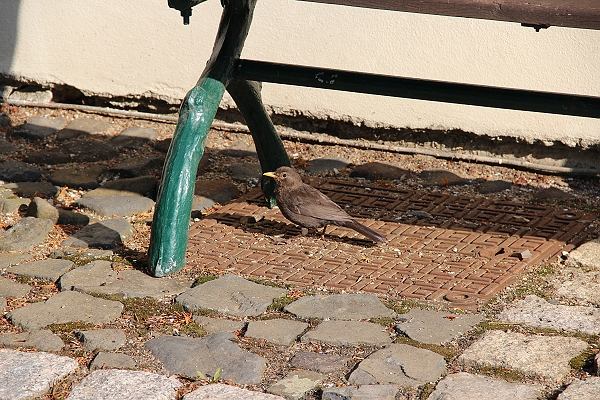 2011,2011捷克,7.7,倫敦,前往Litomysl的城堡,國外旅遊,土耳其,大阪,宜蘭,小休息站,居酒屋,捷克,旅遊,早午餐,早餐,板橋,法國,美食,自由行 @跟著Julie一起走吧 2011,2011捷克,7.7,倫敦,前往Litomysl的城堡,國外旅遊,土耳其,大阪,宜蘭,小休息站,居酒屋,捷克,旅遊,早午餐,早餐,板橋,法國,美食,自由行 @跟著Julie一起走吧