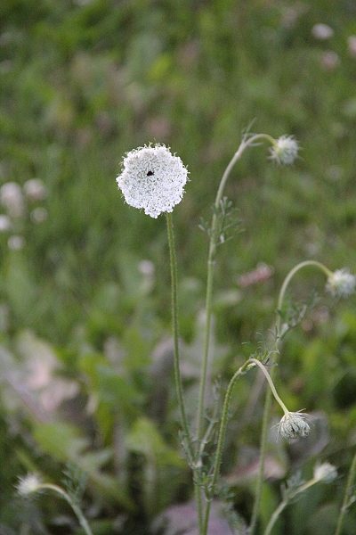 2011,2011捷克,7.6,住宿飯店旁邊的,倫敦,國外旅遊,土耳其,大阪,宜蘭,居酒屋,捷克,旅遊,早午餐,板橋,法國,粉紅色城堡,美食,自由行 @跟著Julie一起走吧 2011,2011捷克,7.6,住宿飯店旁邊的,倫敦,國外旅遊,土耳其,大阪,宜蘭,居酒屋,捷克,旅遊,早午餐,板橋,法國,粉紅色城堡,美食,自由行 @跟著Julie一起走吧