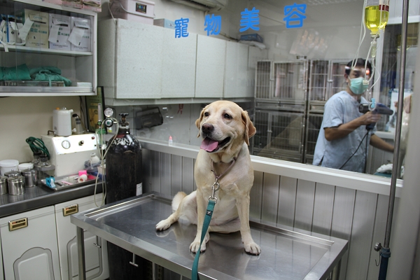 600D拍我的心肝寵物,倫敦,土耳其,大阪,宜蘭,居酒屋,心肝寶貝,捷克,攝影寫真,旅遊,早午餐,板橋,法國,用CANON,美食,自由行,鐵三角 @跟著Julie一起走吧 600D拍我的心肝寵物,倫敦,土耳其,大阪,宜蘭,居酒屋,心肝寶貝,捷克,攝影寫真,旅遊,早午餐,板橋,法國,用CANON,美食,自由行,鐵三角 @跟著Julie一起走吧