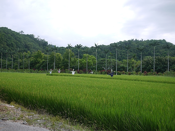 2011,倫敦,嘟好燒,國內旅遊,土耳其,大阪,宜蘭,居酒屋,捷克,旅遊,早午餐,東部,板橋,水水帶你玩宜蘭,法國,白雪阿西冰,美食,自由行,諾貝爾,路邊拍蔥花 @跟著Julie一起走吧 2011,倫敦,嘟好燒,國內旅遊,土耳其,大阪,宜蘭,居酒屋,捷克,旅遊,早午餐,東部,板橋,水水帶你玩宜蘭,法國,白雪阿西冰,美食,自由行,諾貝爾,路邊拍蔥花 @跟著Julie一起走吧