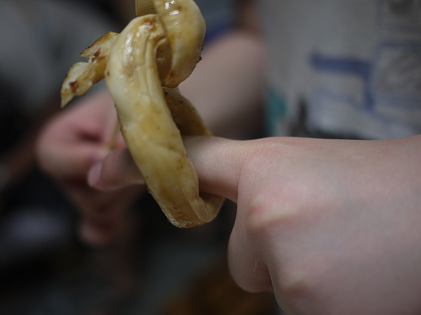 2011,倫敦,國內旅遊,土耳其,大阪,宜蘭,居酒屋,捷克,旅遊,早午餐,東部,板橋,橘子咖啡看夜景,歡樂烤肉,水水帶你玩宜蘭,法國,美食,自由行 @跟著Julie一起走吧 2011,倫敦,國內旅遊,土耳其,大阪,宜蘭,居酒屋,捷克,旅遊,早午餐,東部,板橋,橘子咖啡看夜景,歡樂烤肉,水水帶你玩宜蘭,法國,美食,自由行 @跟著Julie一起走吧