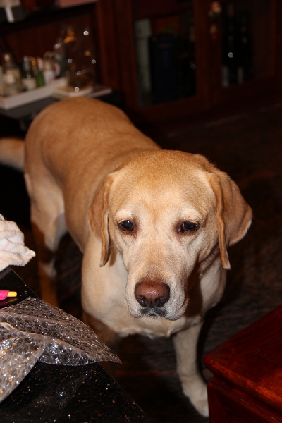 135,18,600D,600d 18-135,Canon,canon 600d 18-135mm,canon eos 600d,EOS,KIT,倫敦,土耳其,大阪,宜蘭,居酒屋,我的第二台單眼相機,捷克,敗家,數位生活,旅遊,早午餐,板橋,法國,相機,美食,自由行 @跟著Julie一起走吧 135,18,600D,600d 18-135,Canon,canon 600d 18-135mm,canon eos 600d,EOS,KIT,倫敦,土耳其,大阪,宜蘭,居酒屋,我的第二台單眼相機,捷克,敗家,數位生活,旅遊,早午餐,板橋,法國,相機,美食,自由行 @跟著Julie一起走吧