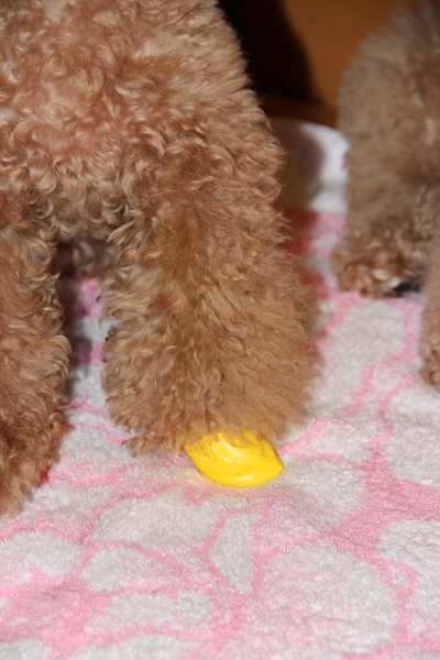 135,18,600D,600d 18-135,Canon,canon 600d 18-135mm,canon eos 600d,EOS,KIT,倫敦,土耳其,大阪,宜蘭,居酒屋,我的第二台單眼相機,捷克,敗家,數位生活,旅遊,早午餐,板橋,法國,相機,美食,自由行 @跟著Julie一起走吧 135,18,600D,600d 18-135,Canon,canon 600d 18-135mm,canon eos 600d,EOS,KIT,倫敦,土耳其,大阪,宜蘭,居酒屋,我的第二台單眼相機,捷克,敗家,數位生活,旅遊,早午餐,板橋,法國,相機,美食,自由行 @跟著Julie一起走吧