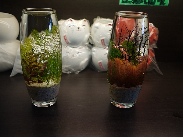 2011,倫敦,傳承蒜味肉羹,勝洋休閒農場,國內旅遊,土耳其,大阪,宜蘭,居酒屋,捷克,旅遊,早午餐,東部,板橋,水水帶你玩宜蘭,法國,美食,自由行 @跟著Julie一起走吧 2011,倫敦,傳承蒜味肉羹,勝洋休閒農場,國內旅遊,土耳其,大阪,宜蘭,居酒屋,捷克,旅遊,早午餐,東部,板橋,水水帶你玩宜蘭,法國,美食,自由行 @跟著Julie一起走吧