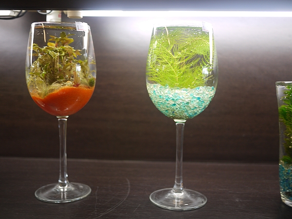 2011,倫敦,傳承蒜味肉羹,勝洋休閒農場,國內旅遊,土耳其,大阪,宜蘭,居酒屋,捷克,旅遊,早午餐,東部,板橋,水水帶你玩宜蘭,法國,美食,自由行 @跟著Julie一起走吧 2011,倫敦,傳承蒜味肉羹,勝洋休閒農場,國內旅遊,土耳其,大阪,宜蘭,居酒屋,捷克,旅遊,早午餐,東部,板橋,水水帶你玩宜蘭,法國,美食,自由行 @跟著Julie一起走吧