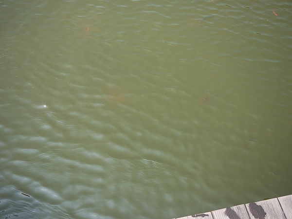 2011,倫敦,傳承蒜味肉羹,勝洋休閒農場,國內旅遊,土耳其,大阪,宜蘭,居酒屋,捷克,旅遊,早午餐,東部,板橋,水水帶你玩宜蘭,法國,美食,自由行 @跟著Julie一起走吧 2011,倫敦,傳承蒜味肉羹,勝洋休閒農場,國內旅遊,土耳其,大阪,宜蘭,居酒屋,捷克,旅遊,早午餐,東部,板橋,水水帶你玩宜蘭,法國,美食,自由行 @跟著Julie一起走吧