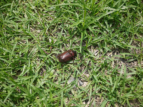 2011,倫敦,傳承蒜味肉羹,勝洋休閒農場,國內旅遊,土耳其,大阪,宜蘭,居酒屋,捷克,旅遊,早午餐,東部,板橋,水水帶你玩宜蘭,法國,美食,自由行 @跟著Julie一起走吧 2011,倫敦,傳承蒜味肉羹,勝洋休閒農場,國內旅遊,土耳其,大阪,宜蘭,居酒屋,捷克,旅遊,早午餐,東部,板橋,水水帶你玩宜蘭,法國,美食,自由行 @跟著Julie一起走吧