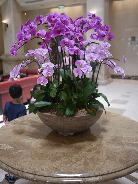 2011,倫敦,國內旅遊,土耳其,大阪,宜蘭,居酒屋,捷克,旅遊,早午餐,東部,板橋,水水帶你玩宜蘭,法國,羅東夜市,美食,自由行,金車葛瑪蘭酒廠篇 @跟著Julie一起走吧 2011,倫敦,國內旅遊,土耳其,大阪,宜蘭,居酒屋,捷克,旅遊,早午餐,東部,板橋,水水帶你玩宜蘭,法國,羅東夜市,美食,自由行,金車葛瑪蘭酒廠篇 @跟著Julie一起走吧