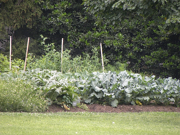 2010,2010美加東,5.29,倫敦,傑佛遜紀念堂,印鈔局,國外旅遊,土耳其,大阪,宜蘭,居酒屋,捷克,旅遊,早午餐,板橋,法國,白宮,美加東,美食,自由行,華盛頓D.C.趴趴走,黃石 @跟著Julie一起走吧 2010,2010美加東,5.29,倫敦,傑佛遜紀念堂,印鈔局,國外旅遊,土耳其,大阪,宜蘭,居酒屋,捷克,旅遊,早午餐,板橋,法國,白宮,美加東,美食,自由行,華盛頓D.C.趴趴走,黃石 @跟著Julie一起走吧