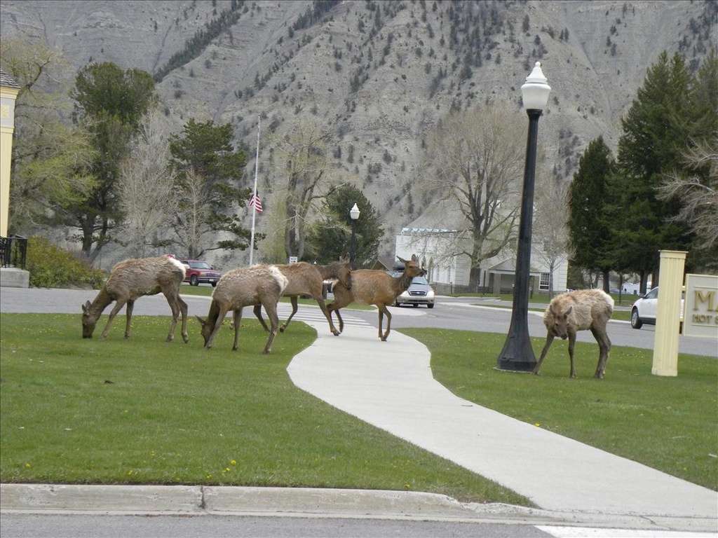 2010,2010美加東,5.26,倫敦,國外旅遊,土耳其,大阪,宜蘭,居酒屋,捷克,旅遊,早午餐,晚餐,板橋,法國,美加東,美食,自由行,飯店,黃石,黃石公園暴走PART3 @跟著Julie一起走吧 2010,2010美加東,5.26,倫敦,國外旅遊,土耳其,大阪,宜蘭,居酒屋,捷克,旅遊,早午餐,晚餐,板橋,法國,美加東,美食,自由行,飯店,黃石,黃石公園暴走PART3 @跟著Julie一起走吧