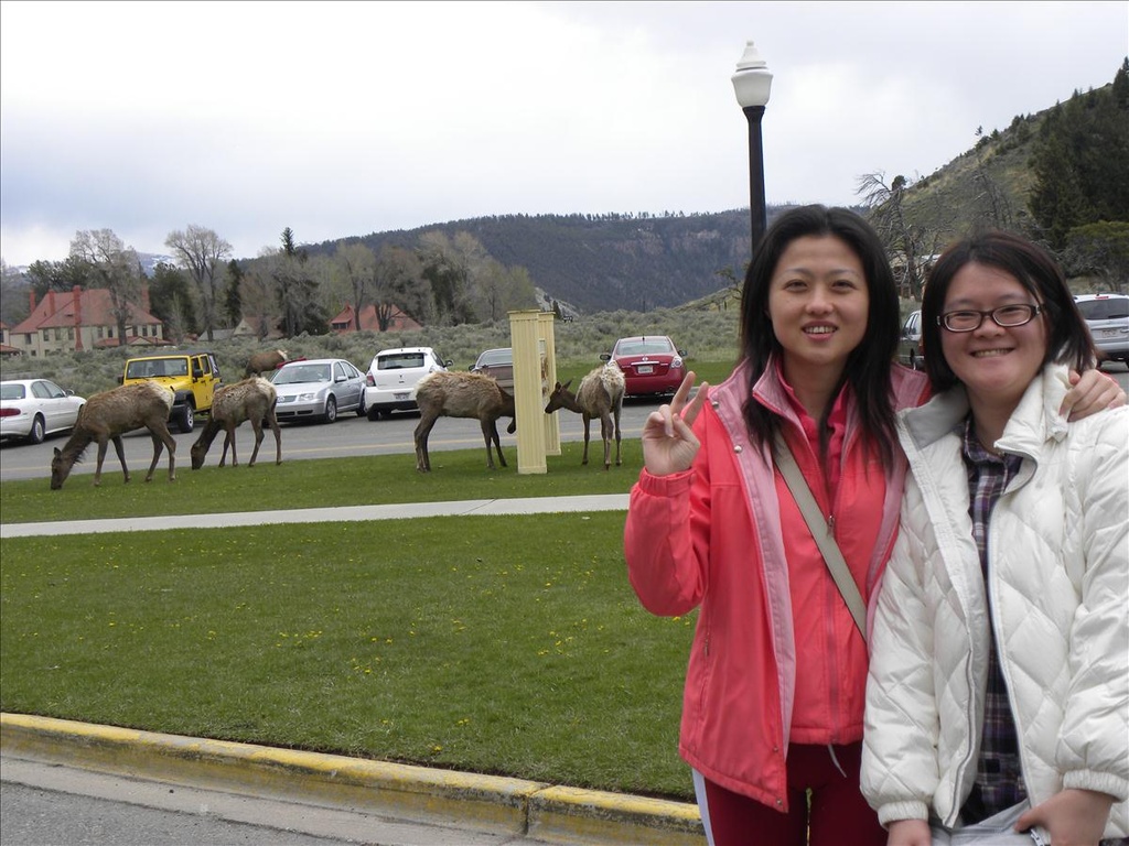 2010,2010美加東,5.26,倫敦,國外旅遊,土耳其,大阪,宜蘭,居酒屋,捷克,旅遊,早午餐,晚餐,板橋,法國,美加東,美食,自由行,飯店,黃石,黃石公園暴走PART3 @跟著Julie一起走吧 2010,2010美加東,5.26,倫敦,國外旅遊,土耳其,大阪,宜蘭,居酒屋,捷克,旅遊,早午餐,晚餐,板橋,法國,美加東,美食,自由行,飯店,黃石,黃石公園暴走PART3 @跟著Julie一起走吧