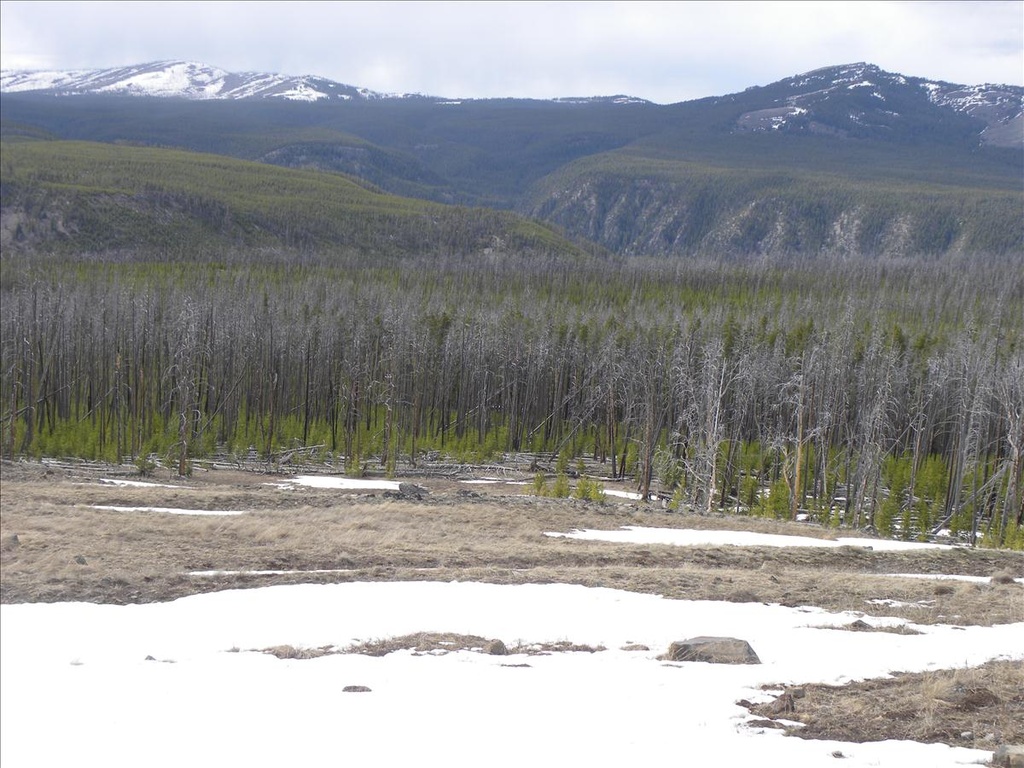 2010,2010美加東,5.26,倫敦,國外旅遊,土耳其,大阪,宜蘭,居酒屋,捷克,旅遊,早午餐,板橋,法國,美加東,美食,自由行,黃石,黃石公園暴走PART2 @跟著Julie一起走吧 2010,2010美加東,5.26,倫敦,國外旅遊,土耳其,大阪,宜蘭,居酒屋,捷克,旅遊,早午餐,板橋,法國,美加東,美食,自由行,黃石,黃石公園暴走PART2 @跟著Julie一起走吧