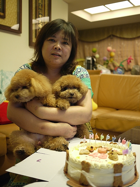 100號牧場的手工蛋糕,倫敦,土耳其,大阪,宜蘭,寵物日記,居酒屋,我的寶貝,捷克,旅遊,早午餐,板橋,法國,美食,自由行,阿布,阿布的八歲生日趴 @跟著Julie一起走吧 100號牧場的手工蛋糕,倫敦,土耳其,大阪,宜蘭,寵物日記,居酒屋,我的寶貝,捷克,旅遊,早午餐,板橋,法國,美食,自由行,阿布,阿布的八歲生日趴 @跟著Julie一起走吧