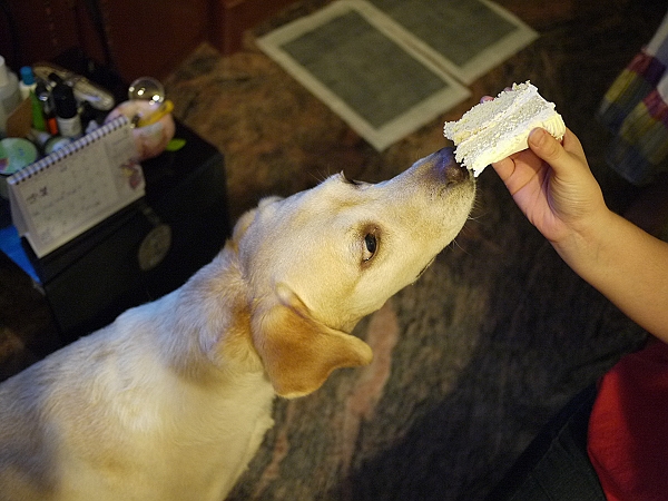 100號牧場的手工蛋糕,倫敦,土耳其,大阪,宜蘭,寵物日記,居酒屋,我的寶貝,捷克,旅遊,早午餐,板橋,法國,美食,自由行,阿布,阿布的八歲生日趴 @跟著Julie一起走吧 100號牧場的手工蛋糕,倫敦,土耳其,大阪,宜蘭,寵物日記,居酒屋,我的寶貝,捷克,旅遊,早午餐,板橋,法國,美食,自由行,阿布,阿布的八歲生日趴 @跟著Julie一起走吧