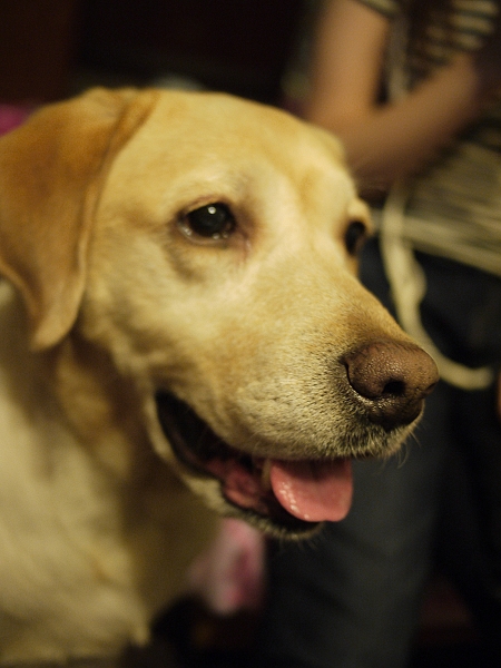 100號牧場的手工蛋糕,倫敦,土耳其,大阪,宜蘭,寵物日記,居酒屋,我的寶貝,捷克,旅遊,早午餐,板橋,法國,美食,自由行,阿布,阿布的八歲生日趴 @跟著Julie一起走吧 100號牧場的手工蛋糕,倫敦,土耳其,大阪,宜蘭,寵物日記,居酒屋,我的寶貝,捷克,旅遊,早午餐,板橋,法國,美食,自由行,阿布,阿布的八歲生日趴 @跟著Julie一起走吧