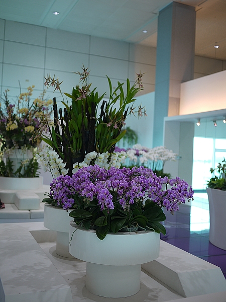 1,2010,2010香港,DAY1,倫敦,國外旅遊,土耳其,大阪,宜蘭,居酒屋,捷克,旅遊,早午餐,板橋,機場隨拍,法國,第二航廈有好多KITTY,美食,自由行,香港自由行 @跟著Julie一起走吧 1,2010,2010香港,DAY1,倫敦,國外旅遊,土耳其,大阪,宜蘭,居酒屋,捷克,旅遊,早午餐,板橋,機場隨拍,法國,第二航廈有好多KITTY,美食,自由行,香港自由行 @跟著Julie一起走吧