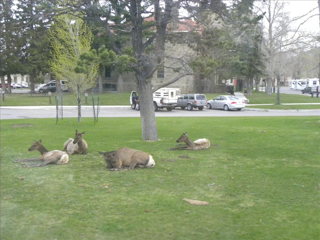 2010,2010美加東,5.26,DAY1,倫敦,國外旅遊,土耳其,大阪,宜蘭,居酒屋,捷克,旅遊,早午餐,板橋,法國,美加東,美食,自由行,黃石,黃石公園暴走 @跟著Julie一起走吧 2010,2010美加東,5.26,DAY1,倫敦,國外旅遊,土耳其,大阪,宜蘭,居酒屋,捷克,旅遊,早午餐,板橋,法國,美加東,美食,自由行,黃石,黃石公園暴走 @跟著Julie一起走吧