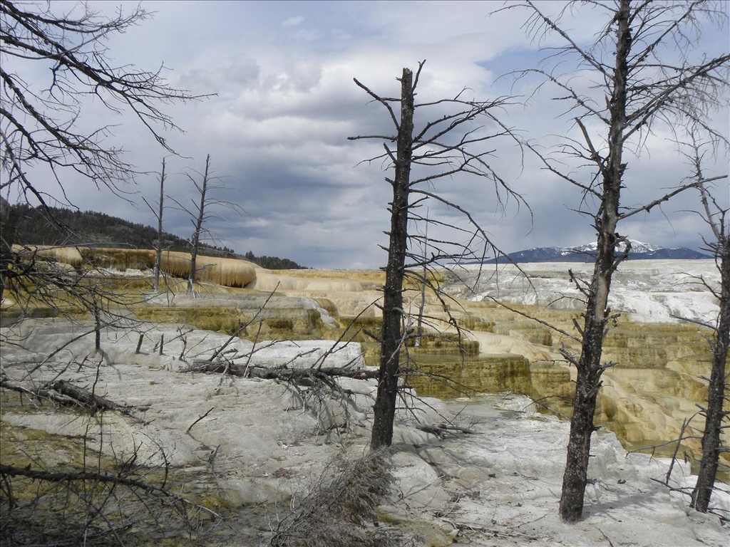 2010,2010美加東,5.26,DAY1,倫敦,國外旅遊,土耳其,大阪,宜蘭,居酒屋,捷克,旅遊,早午餐,板橋,法國,美加東,美食,自由行,黃石,黃石公園暴走 @跟著Julie一起走吧 2010,2010美加東,5.26,DAY1,倫敦,國外旅遊,土耳其,大阪,宜蘭,居酒屋,捷克,旅遊,早午餐,板橋,法國,美加東,美食,自由行,黃石,黃石公園暴走 @跟著Julie一起走吧