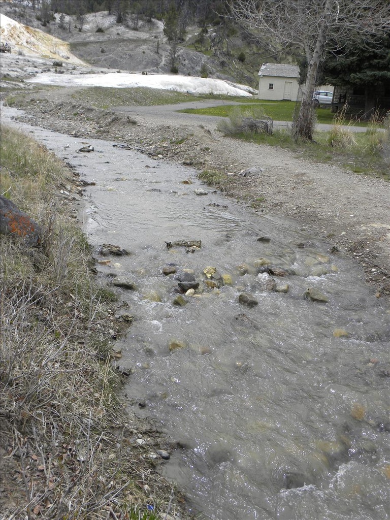 2010,2010美加東,5.26,DAY1,倫敦,國外旅遊,土耳其,大阪,宜蘭,居酒屋,捷克,旅遊,早午餐,板橋,法國,美加東,美食,自由行,黃石,黃石公園暴走 @跟著Julie一起走吧 2010,2010美加東,5.26,DAY1,倫敦,國外旅遊,土耳其,大阪,宜蘭,居酒屋,捷克,旅遊,早午餐,板橋,法國,美加東,美食,自由行,黃石,黃石公園暴走 @跟著Julie一起走吧