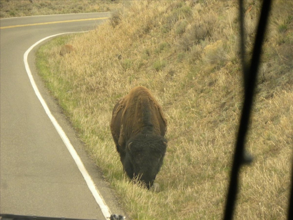 2010,2010美加東,5.26,DAY1,倫敦,國外旅遊,土耳其,大阪,宜蘭,居酒屋,捷克,旅遊,早午餐,板橋,法國,美加東,美食,自由行,黃石,黃石公園暴走 @跟著Julie一起走吧 2010,2010美加東,5.26,DAY1,倫敦,國外旅遊,土耳其,大阪,宜蘭,居酒屋,捷克,旅遊,早午餐,板橋,法國,美加東,美食,自由行,黃石,黃石公園暴走 @跟著Julie一起走吧