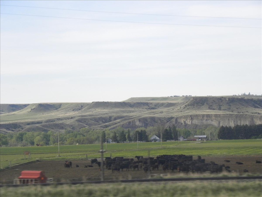 2010,2010美加東,5.26,倫敦,出發,國外旅遊,土耳其,大阪,宜蘭,居酒屋,往黃石公園前進,捷克,旅遊,早午餐,板橋,法國,美加東,美食,自由行,黃石 @跟著Julie一起走吧 2010,2010美加東,5.26,倫敦,出發,國外旅遊,土耳其,大阪,宜蘭,居酒屋,往黃石公園前進,捷克,旅遊,早午餐,板橋,法國,美加東,美食,自由行,黃石 @跟著Julie一起走吧