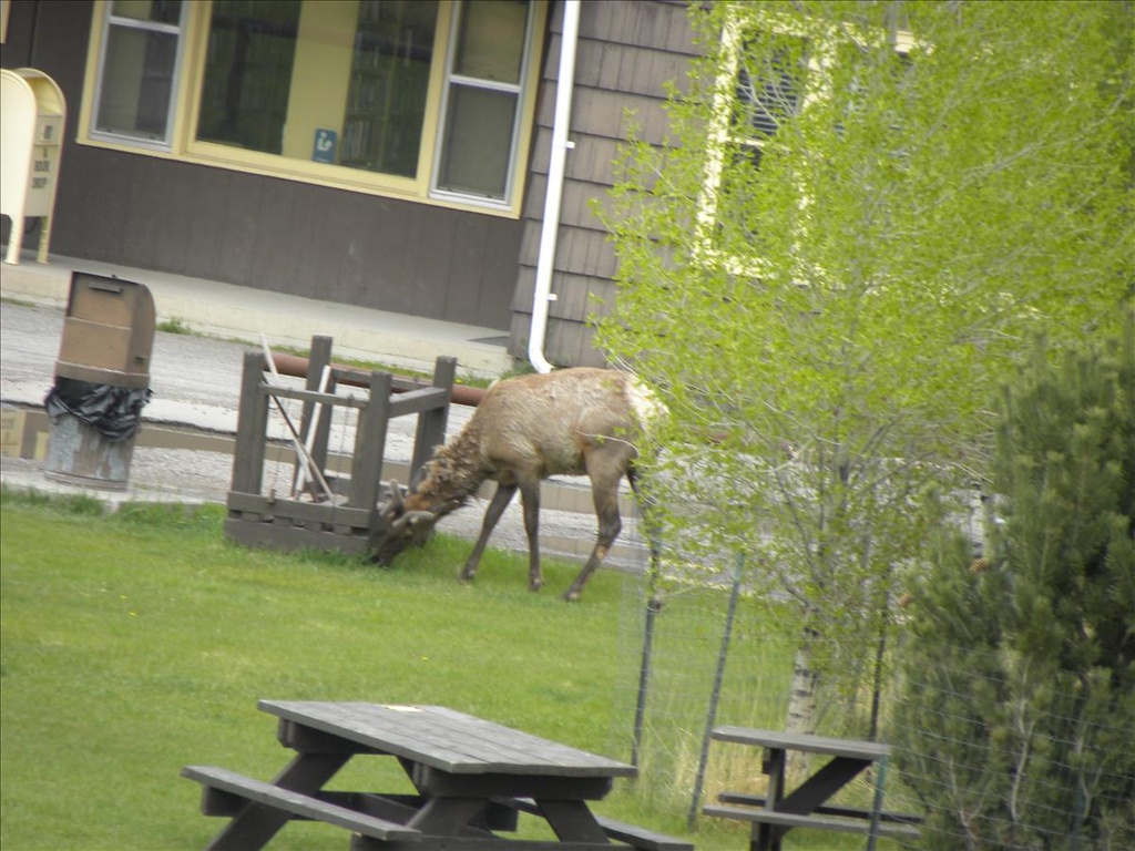 2010,2010美加東,5.26,倫敦,出發,國外旅遊,土耳其,大阪,宜蘭,居酒屋,往黃石公園前進,捷克,旅遊,早午餐,板橋,法國,美加東,美食,自由行,黃石 @跟著Julie一起走吧 2010,2010美加東,5.26,倫敦,出發,國外旅遊,土耳其,大阪,宜蘭,居酒屋,往黃石公園前進,捷克,旅遊,早午餐,板橋,法國,美加東,美食,自由行,黃石 @跟著Julie一起走吧