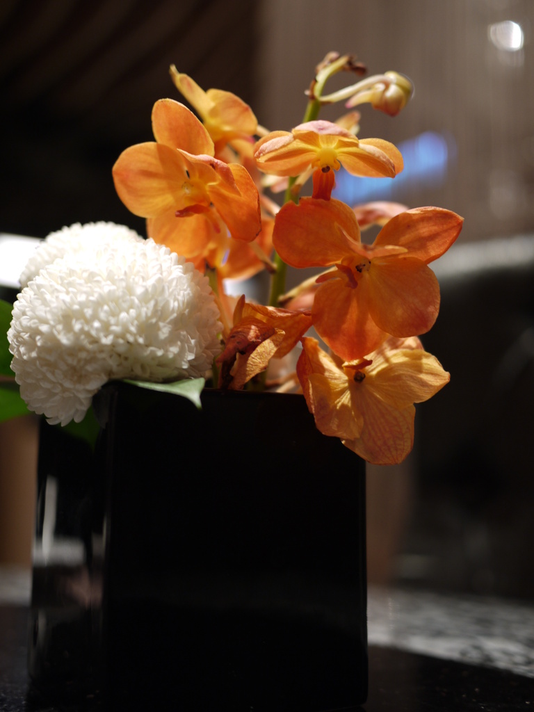 中餐,倫敦,土耳其,大阪,宜蘭,居酒屋,捷克,旅遊,早午餐,板橋,法國,美味食記,美食,自由行,阿一天下鮑魚海鮮餐廳,阿一鮑魚牛肉麵好吃嗎,阿一鮑魚菜單,食記 @跟著Julie一起走吧 中餐,倫敦,土耳其,大阪,宜蘭,居酒屋,捷克,旅遊,早午餐,板橋,法國,美味食記,美食,自由行,阿一天下鮑魚海鮮餐廳,阿一鮑魚牛肉麵好吃嗎,阿一鮑魚菜單,食記 @跟著Julie一起走吧