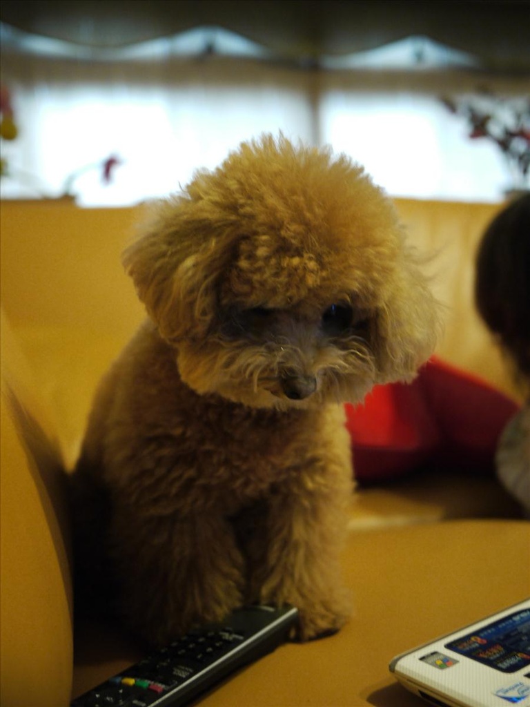 下午茶,倫敦,土耳其,大阪,宜蘭,居酒屋,愛戀65度C手作吐司坊,愛戀吐司,捷克,旅遊,早午餐,板橋,法國,甜點,網路排隊美食,美味食記,美食,自由行 @跟著Julie一起走吧 下午茶,倫敦,土耳其,大阪,宜蘭,居酒屋,愛戀65度C手作吐司坊,愛戀吐司,捷克,旅遊,早午餐,板橋,法國,甜點,網路排隊美食,美味食記,美食,自由行 @跟著Julie一起走吧