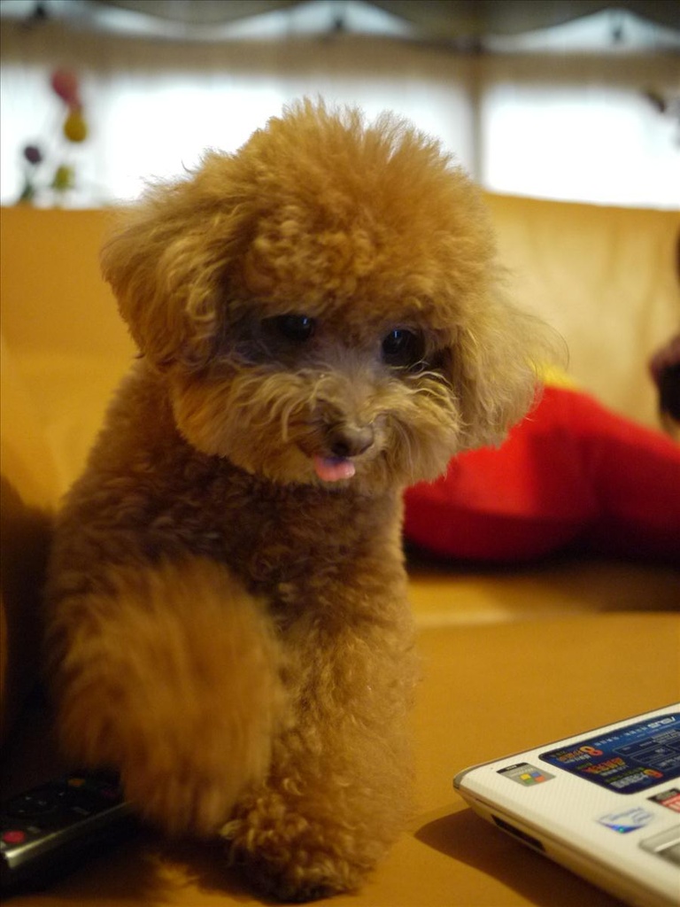 下午茶,倫敦,土耳其,大阪,宜蘭,居酒屋,愛戀65度C手作吐司坊,愛戀吐司,捷克,旅遊,早午餐,板橋,法國,甜點,網路排隊美食,美味食記,美食,自由行 @跟著Julie一起走吧 下午茶,倫敦,土耳其,大阪,宜蘭,居酒屋,愛戀65度C手作吐司坊,愛戀吐司,捷克,旅遊,早午餐,板橋,法國,甜點,網路排隊美食,美味食記,美食,自由行 @跟著Julie一起走吧