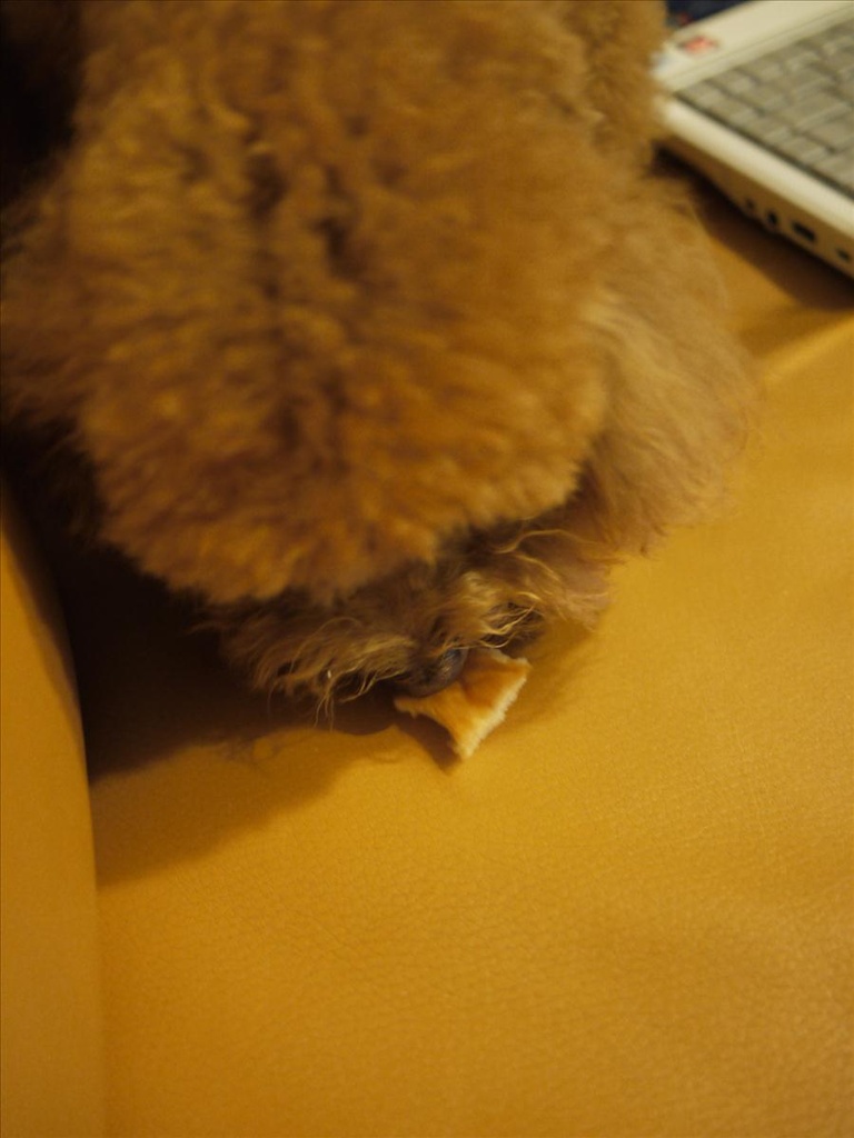 下午茶,倫敦,土耳其,大阪,宜蘭,居酒屋,愛戀65度C手作吐司坊,愛戀吐司,捷克,旅遊,早午餐,板橋,法國,甜點,網路排隊美食,美味食記,美食,自由行 @跟著Julie一起走吧 下午茶,倫敦,土耳其,大阪,宜蘭,居酒屋,愛戀65度C手作吐司坊,愛戀吐司,捷克,旅遊,早午餐,板橋,法國,甜點,網路排隊美食,美味食記,美食,自由行 @跟著Julie一起走吧