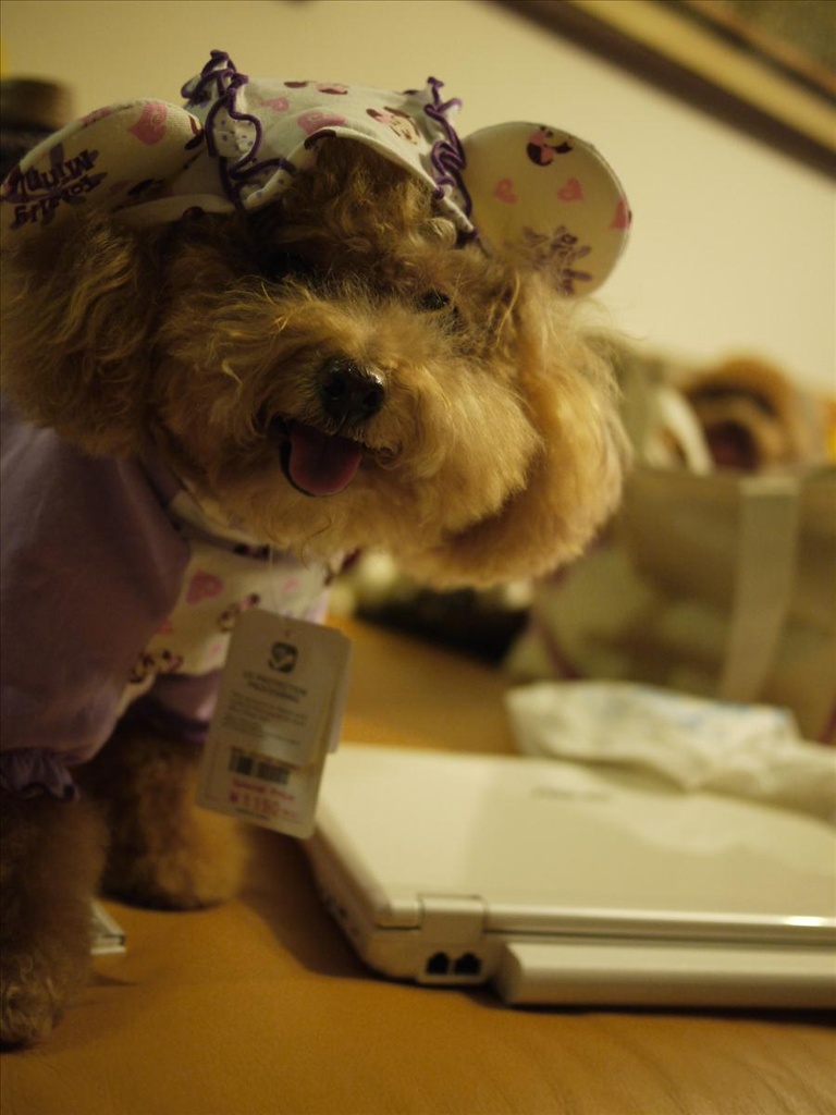 上,倫敦,國外旅遊,土耳其,大阪,大阪吃喝玩樂,宜蘭,居酒屋,捷克,旅遊,早午餐,板橋,法國,美食,自由行,買買買之敗家記錄 @跟著Julie一起走吧 上,倫敦,國外旅遊,土耳其,大阪,大阪吃喝玩樂,宜蘭,居酒屋,捷克,旅遊,早午餐,板橋,法國,美食,自由行,買買買之敗家記錄 @跟著Julie一起走吧