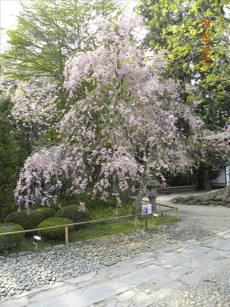 2010日本東北,5.5,仙台牛舌晚餐,倫敦,國外旅遊,土耳其,大阪,宜蘭,居酒屋,捷克,旅遊,早午餐,板橋,法國,美食,自由行,鹽龕神社 @跟著Julie一起走吧 2010日本東北,5.5,仙台牛舌晚餐,倫敦,國外旅遊,土耳其,大阪,宜蘭,居酒屋,捷克,旅遊,早午餐,板橋,法國,美食,自由行,鹽龕神社 @跟著Julie一起走吧