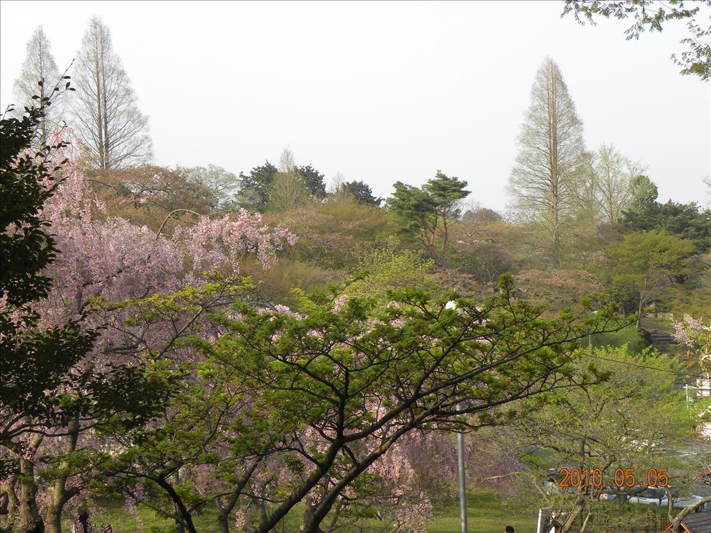 2010日本東北,5.5,仙台牛舌晚餐,倫敦,國外旅遊,土耳其,大阪,宜蘭,居酒屋,捷克,旅遊,早午餐,板橋,法國,美食,自由行,鹽龕神社 @跟著Julie一起走吧 2010日本東北,5.5,仙台牛舌晚餐,倫敦,國外旅遊,土耳其,大阪,宜蘭,居酒屋,捷克,旅遊,早午餐,板橋,法國,美食,自由行,鹽龕神社 @跟著Julie一起走吧