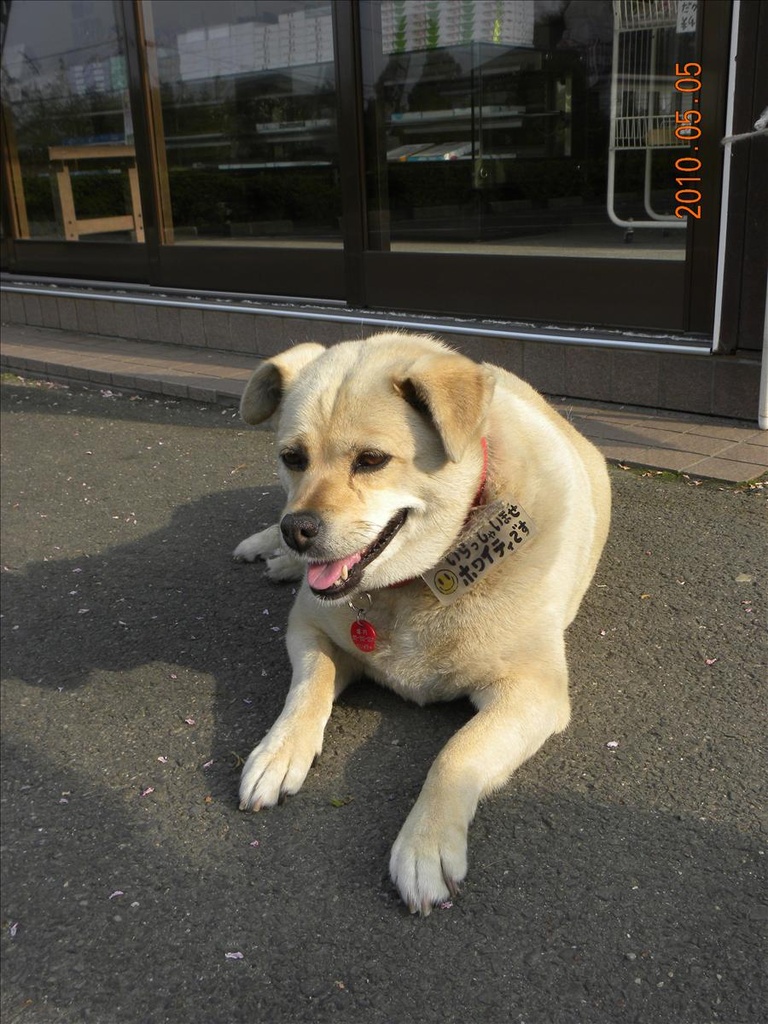 2010日本東北,5.5,仙台牛舌晚餐,倫敦,國外旅遊,土耳其,大阪,宜蘭,居酒屋,捷克,旅遊,早午餐,板橋,法國,美食,自由行,鹽龕神社 @跟著Julie一起走吧 2010日本東北,5.5,仙台牛舌晚餐,倫敦,國外旅遊,土耳其,大阪,宜蘭,居酒屋,捷克,旅遊,早午餐,板橋,法國,美食,自由行,鹽龕神社 @跟著Julie一起走吧