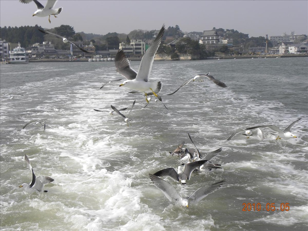 2010日本東北,5.5,五大堂,倫敦,國外旅遊,土耳其,大阪,宜蘭,居酒屋,捷克,旅遊,早午餐,松島,板橋,法國,瑞嚴寺,美食,自由行 @跟著Julie一起走吧 2010日本東北,5.5,五大堂,倫敦,國外旅遊,土耳其,大阪,宜蘭,居酒屋,捷克,旅遊,早午餐,松島,板橋,法國,瑞嚴寺,美食,自由行 @跟著Julie一起走吧