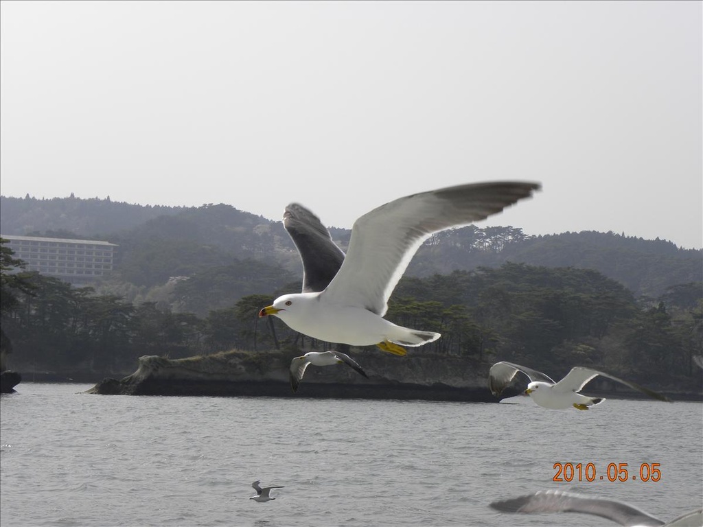 2010日本東北,5.5,五大堂,倫敦,國外旅遊,土耳其,大阪,宜蘭,居酒屋,捷克,旅遊,早午餐,松島,板橋,法國,瑞嚴寺,美食,自由行 @跟著Julie一起走吧 2010日本東北,5.5,五大堂,倫敦,國外旅遊,土耳其,大阪,宜蘭,居酒屋,捷克,旅遊,早午餐,松島,板橋,法國,瑞嚴寺,美食,自由行 @跟著Julie一起走吧