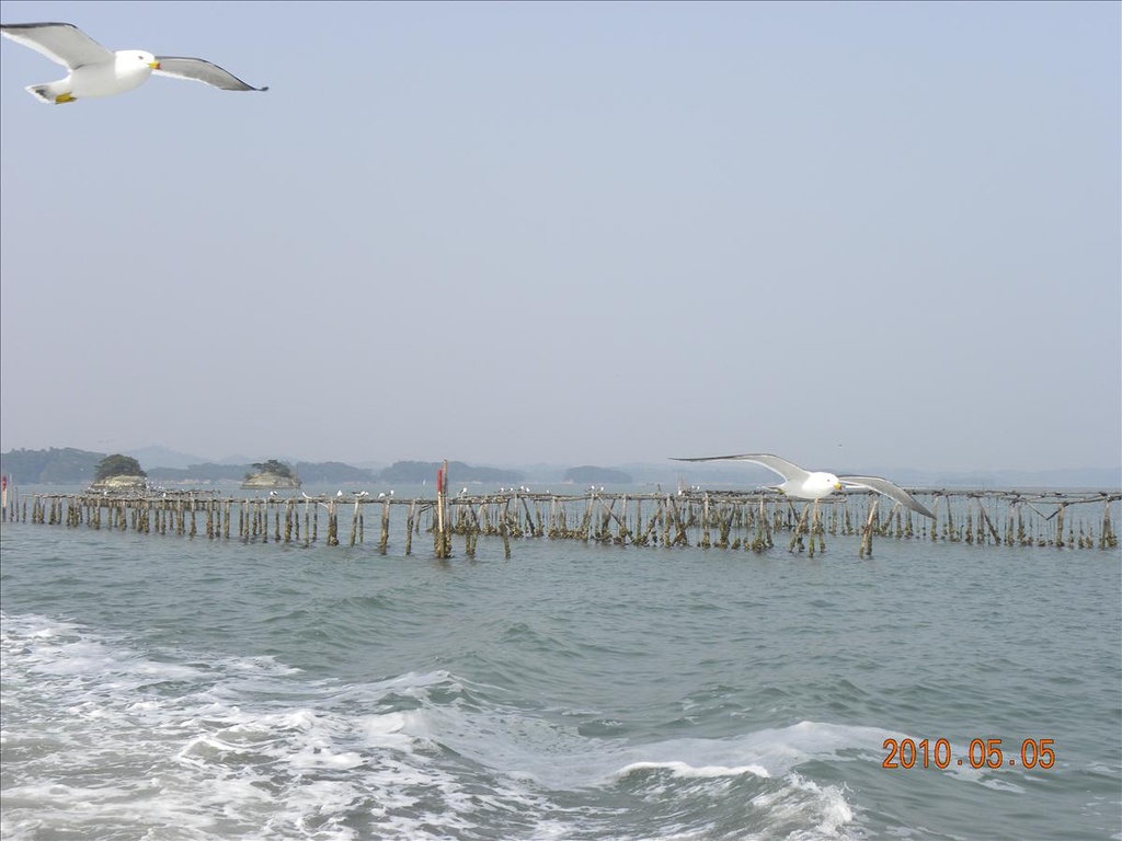 2010日本東北,5.5,五大堂,倫敦,國外旅遊,土耳其,大阪,宜蘭,居酒屋,捷克,旅遊,早午餐,松島,板橋,法國,瑞嚴寺,美食,自由行 @跟著Julie一起走吧 2010日本東北,5.5,五大堂,倫敦,國外旅遊,土耳其,大阪,宜蘭,居酒屋,捷克,旅遊,早午餐,松島,板橋,法國,瑞嚴寺,美食,自由行 @跟著Julie一起走吧