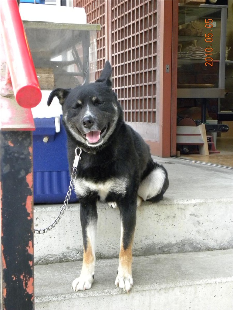 2010日本東北,5.5,中尊寺,倫敦,午餐,國外旅遊,土耳其,大阪,宜蘭,居酒屋,捷克,旅遊,早午餐,板橋,法國,美食,自由行 @跟著Julie一起走吧 2010日本東北,5.5,中尊寺,倫敦,午餐,國外旅遊,土耳其,大阪,宜蘭,居酒屋,捷克,旅遊,早午餐,板橋,法國,美食,自由行 @跟著Julie一起走吧
