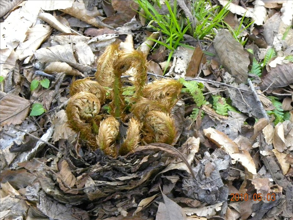 2010日本東北,5.3,倫敦,國外旅遊,土耳其,大阪,奧入瀨溪,宜蘭,居酒屋,捷克,旅遊,早午餐,板橋,法國,美食,自由行 @跟著Julie一起走吧 2010日本東北,5.3,倫敦,國外旅遊,土耳其,大阪,奧入瀨溪,宜蘭,居酒屋,捷克,旅遊,早午餐,板橋,法國,美食,自由行 @跟著Julie一起走吧