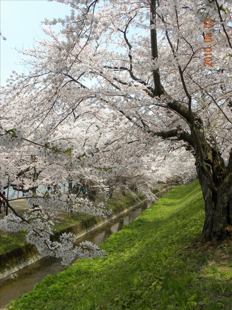 2010日本東北,5.3,倫敦,國外旅遊,土耳其,大阪,宜蘭,居酒屋,弘前城,捷克,旅遊,日本東北賞櫻,早午餐,東北賞櫻名所NO.1,板橋,法國,美食,自由行 @跟著Julie一起走吧 2010日本東北,5.3,倫敦,國外旅遊,土耳其,大阪,宜蘭,居酒屋,弘前城,捷克,旅遊,日本東北賞櫻,早午餐,東北賞櫻名所NO.1,板橋,法國,美食,自由行 @跟著Julie一起走吧