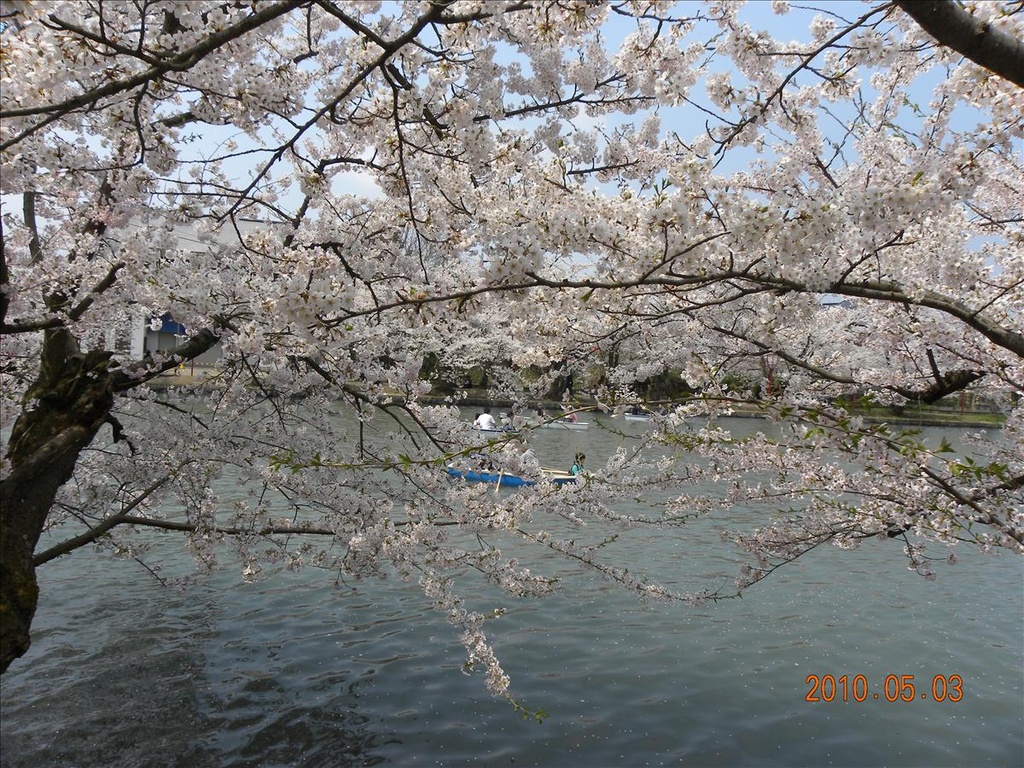 2010日本東北,5.3,倫敦,國外旅遊,土耳其,大阪,宜蘭,居酒屋,弘前城,捷克,旅遊,日本東北賞櫻,早午餐,東北賞櫻名所NO.1,板橋,法國,美食,自由行 @跟著Julie一起走吧 2010日本東北,5.3,倫敦,國外旅遊,土耳其,大阪,宜蘭,居酒屋,弘前城,捷克,旅遊,日本東北賞櫻,早午餐,東北賞櫻名所NO.1,板橋,法國,美食,自由行 @跟著Julie一起走吧