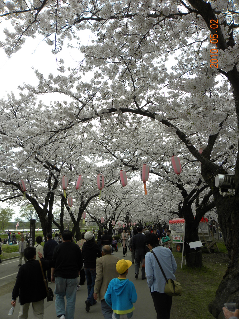 2010日本東北,5.2,倫敦,北上川展勝地,國外旅遊,土耳其,大阪,宜蘭,居酒屋,捷克,旅遊,早午餐,東北賞櫻名所NO.3,板橋,法國,美食,自由行 @跟著Julie一起走吧 2010日本東北,5.2,倫敦,北上川展勝地,國外旅遊,土耳其,大阪,宜蘭,居酒屋,捷克,旅遊,早午餐,東北賞櫻名所NO.3,板橋,法國,美食,自由行 @跟著Julie一起走吧