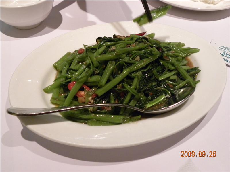 2009.9.26,中和環球店,倫敦,土耳其,大阪,宜蘭,居酒屋,捷克,旅遊,早午餐,板橋,法國,瓦城 中和環球,瓦城泰式料理,異國料理,美味食記,美食,自由行,葡兒飛,葡兒飛 冰淇淋,葡兒飛霜淇淋 @跟著Julie一起走吧 2009.9.26,中和環球店,倫敦,土耳其,大阪,宜蘭,居酒屋,捷克,旅遊,早午餐,板橋,法國,瓦城 中和環球,瓦城泰式料理,異國料理,美味食記,美食,自由行,葡兒飛,葡兒飛 冰淇淋,葡兒飛霜淇淋 @跟著Julie一起走吧